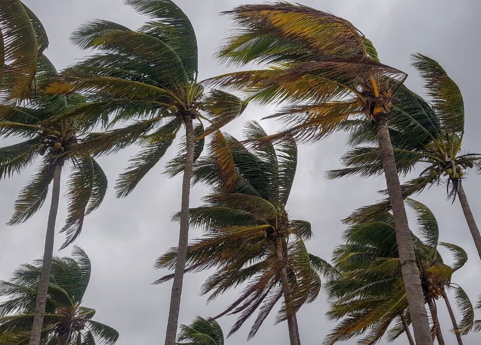 How Hurricane History Can Devastate Your Florida Property’s Title
